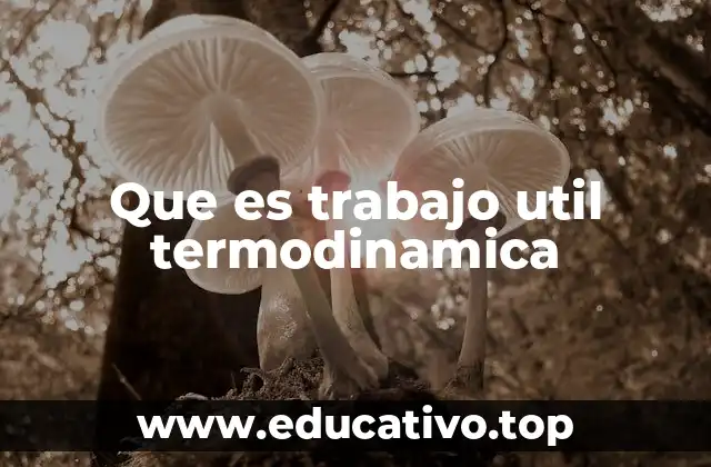Que es trabajo util termodinamica