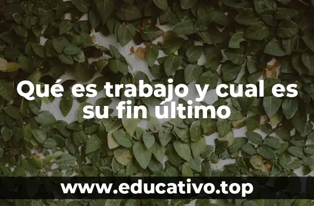 Qué es trabajo y cual es su fin último