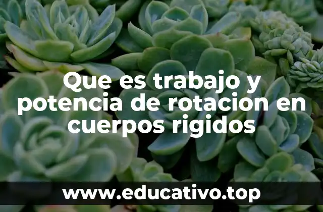 Que es trabajo y potencia de rotacion en cuerpos rigidos