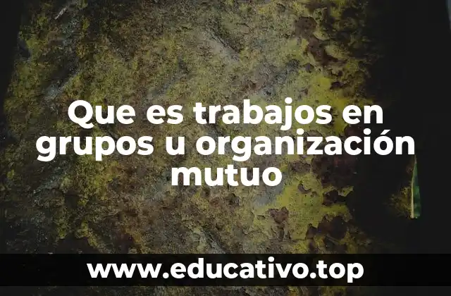 Que es trabajos en grupos u organización mutuo