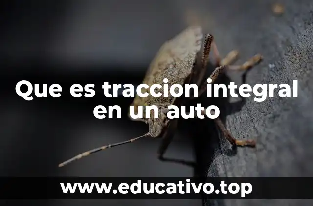 Que es traccion integral en un auto