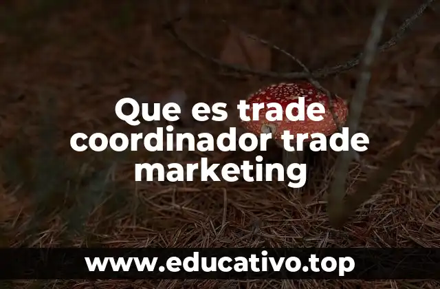 Que es trade coordinador trade marketing