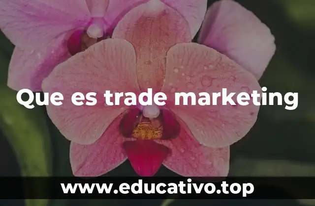 Que es trade marketing