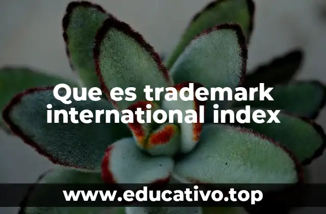 Que es trademark international index