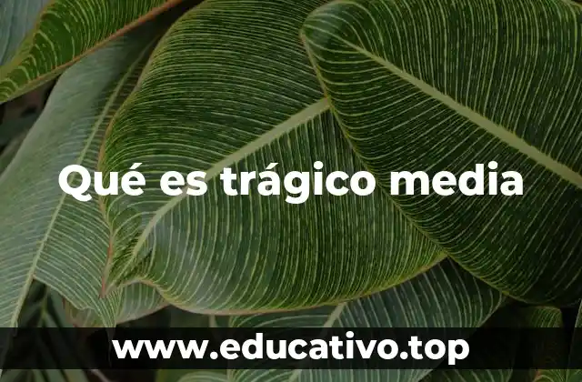 Qué es trágico media