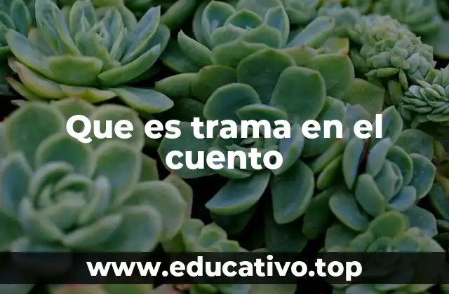 La estructura básica de la narración