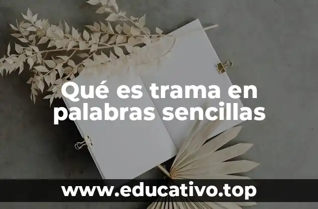 Qué es trama en palabras sencillas