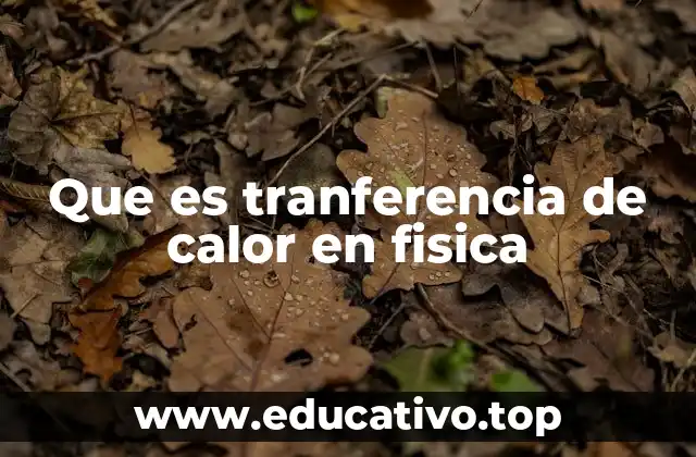 Que es tranferencia de calor en fisica