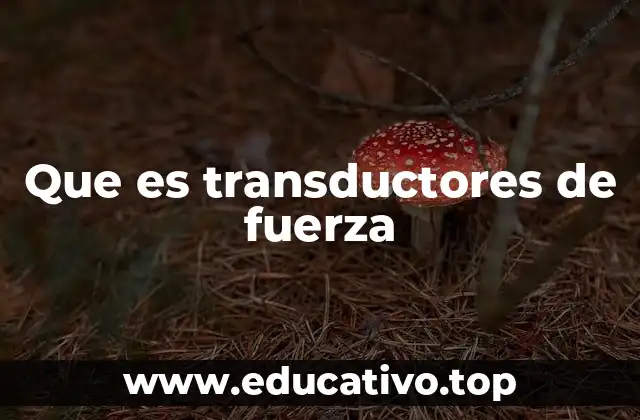 Que es transductores de fuerza