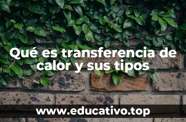 Qué es transferencia de calor y sus tipos
