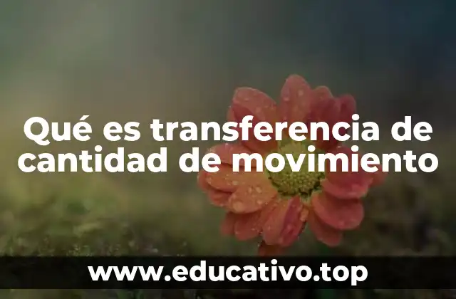 Cómo se relaciona la transferencia de cantidad de movimiento con las leyes de Newton