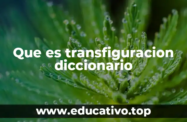 Que es transfiguracion diccionario