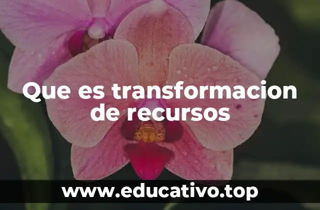 Que es transformacion de recursos