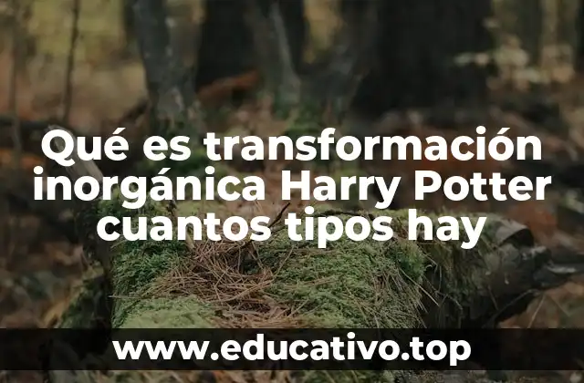Qué es transformación inorgánica Harry Potter cuantos tipos hay