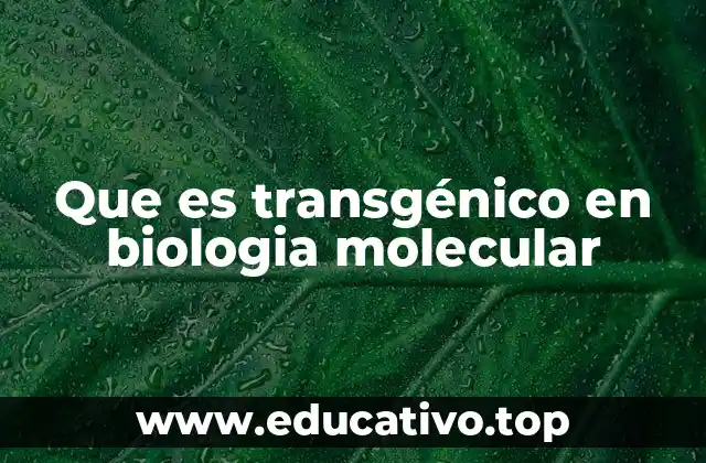 La base molecular de la transgénesis