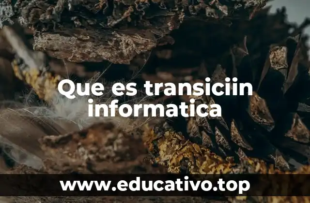 Que es transiciin informatica