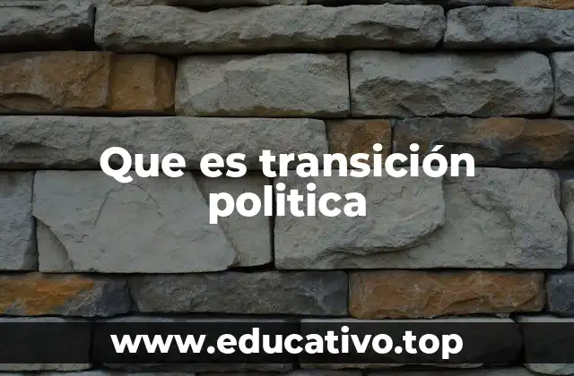 Que es transición politica