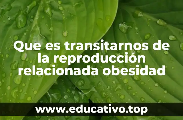Que es transitarnos de la reproducción relacionada obesidad