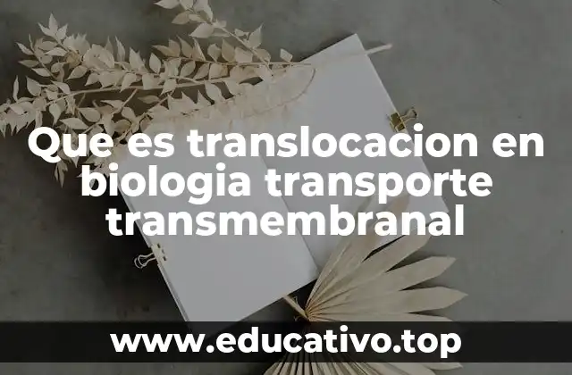 Que es translocacion en biologia transporte transmembranal