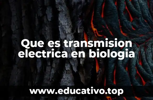 Que es transmision electrica en biologia