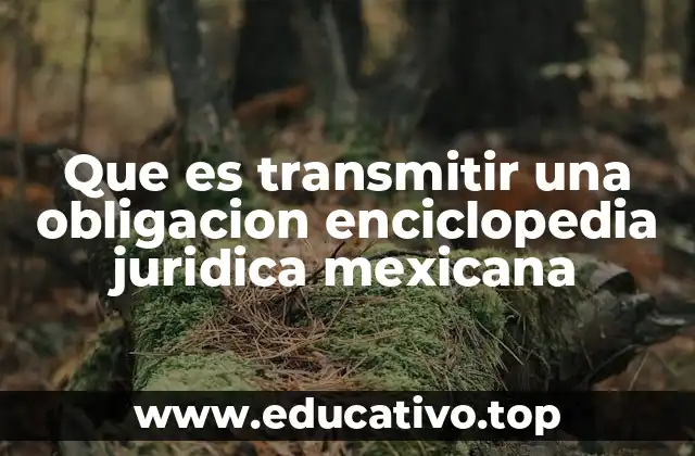 La transmisión de obligaciones como mecanismo de responsabilidad civil