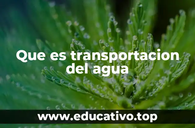 Que es transportacion del agua