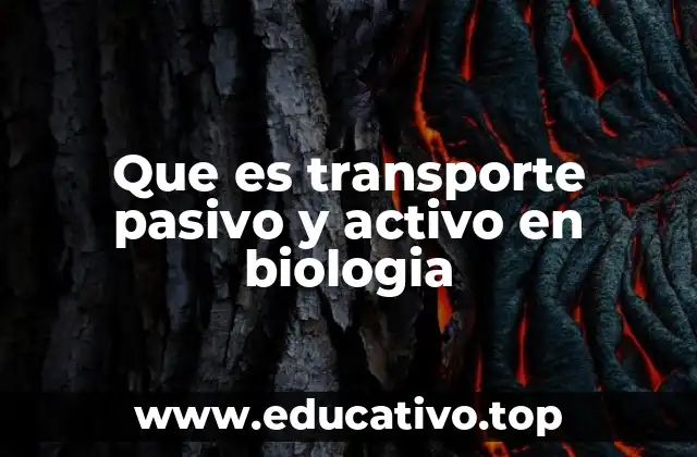 Que es transporte pasivo y activo en biologia