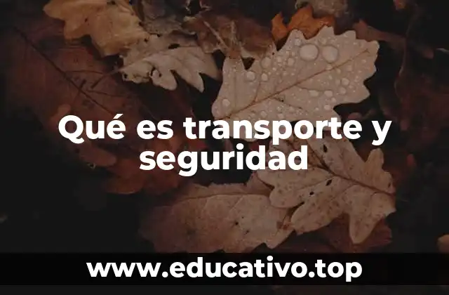 Qué es transporte y seguridad
