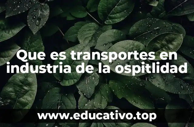 La importancia del transporte en la experiencia del cliente