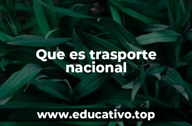 Que es trasporte nacional