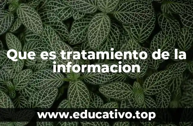 Que es tratamiento de la informacion