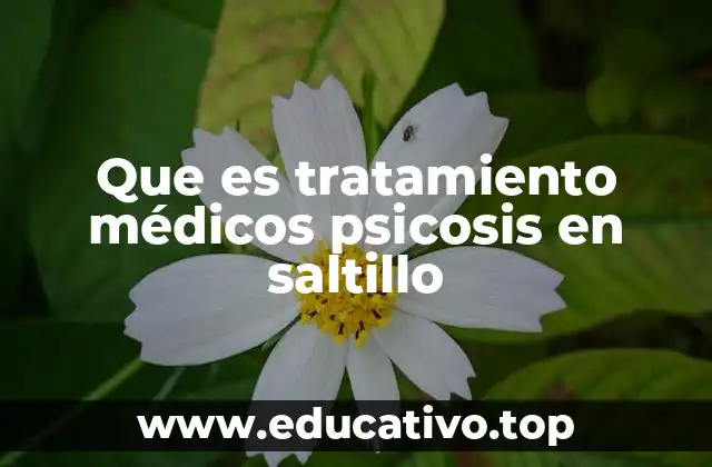 El enfoque integral en el manejo de la psicosis en Saltillo