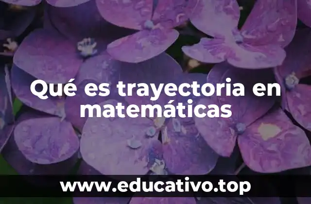 Qué es trayectoria en matemáticas
