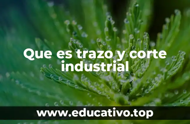 Que es trazo y corte industrial
