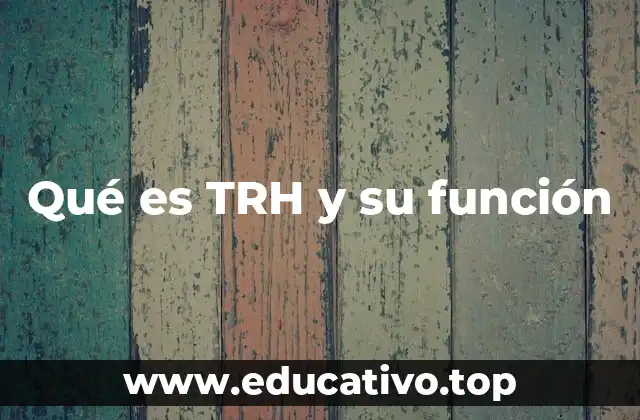 Qué es TRH y su función