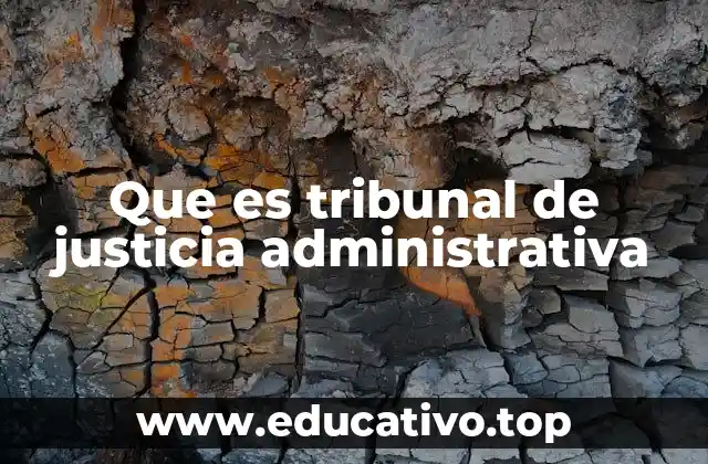 Que es tribunal de justicia administrativa