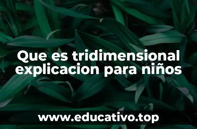 Que es tridimensional explicacion para niños