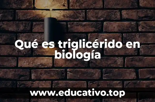 Qué es triglicérido en biología