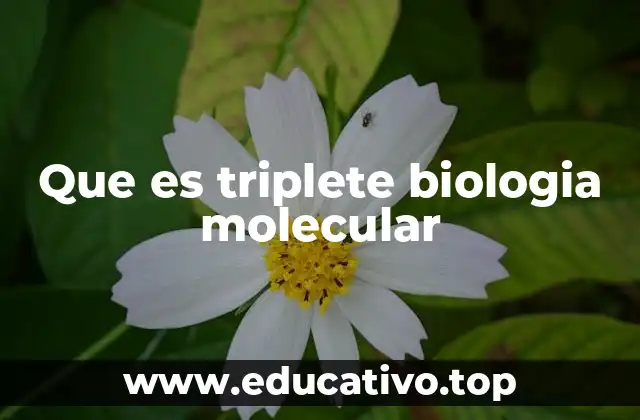 Que es triplete biologia molecular