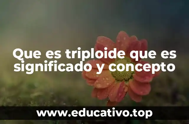 Que es triploide que es significado y concepto