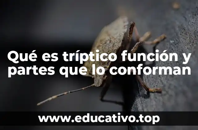Qué es tríptico función y partes que lo conforman