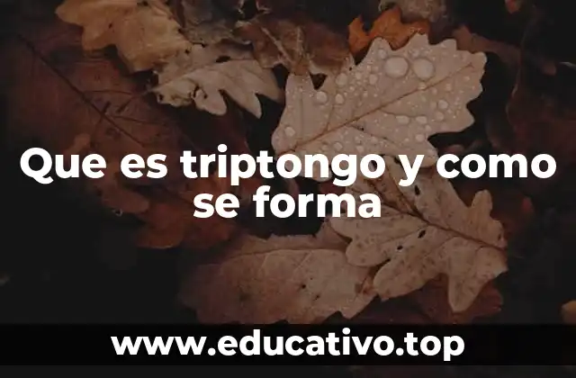 Que es triptongo y como se forma