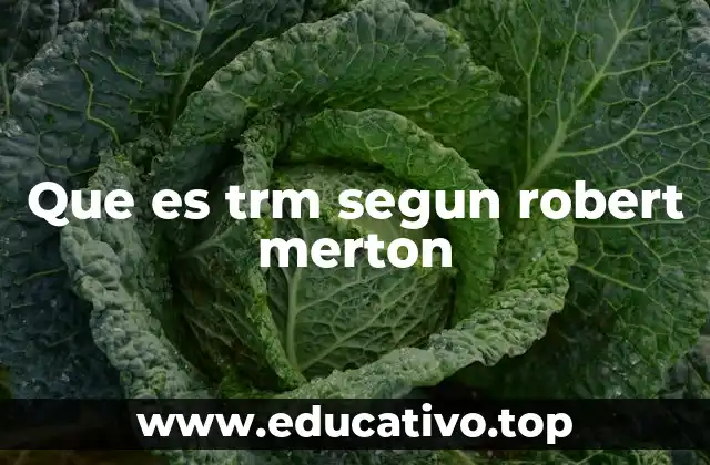 Que es trm segun robert merton