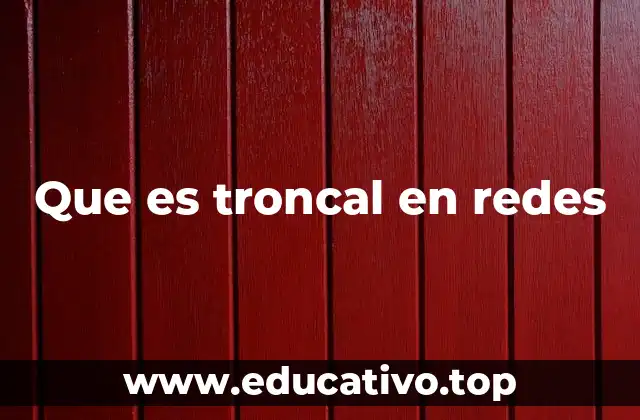Que es troncal en redes