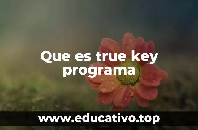 Que es true key programa