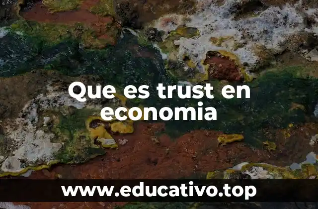 Que es trust en economia