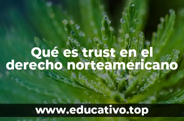 Qué es trust en el derecho norteamericano