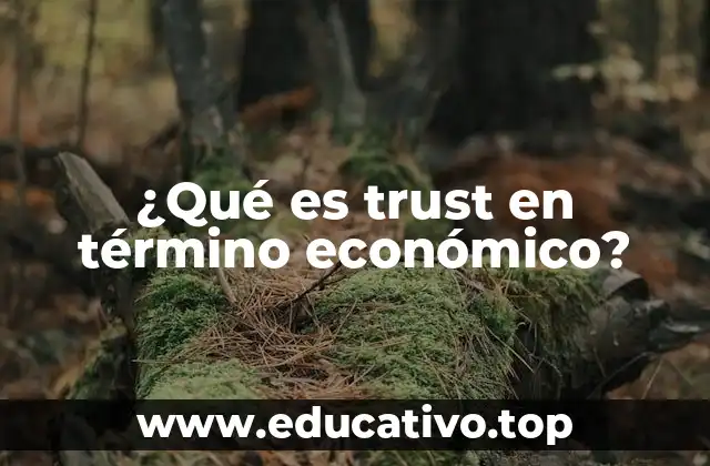¿Qué es trust en término económico?