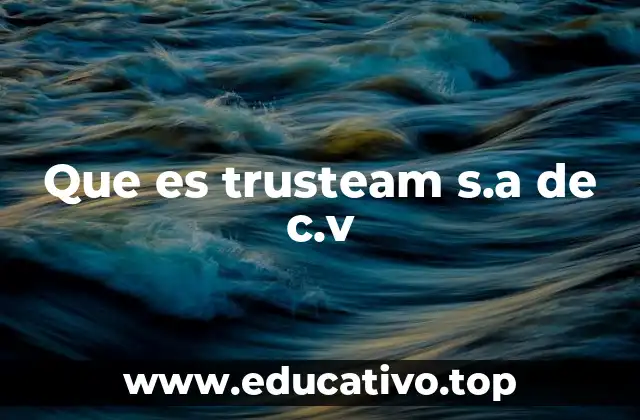 Que es trusteam s.a de c.v