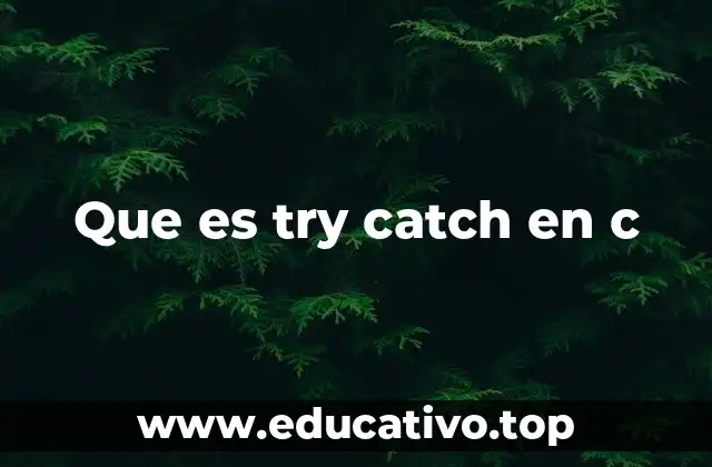 Que es try catch en c